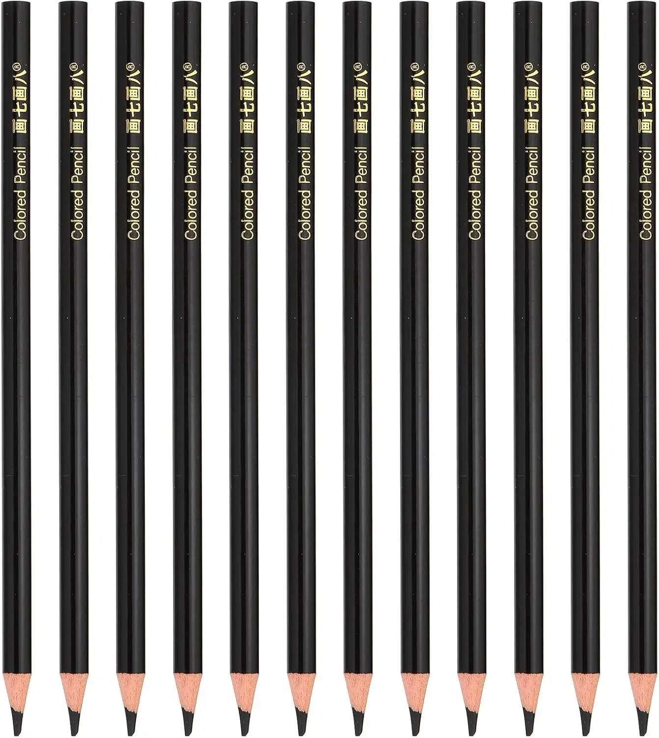 

12-Piece Black Oil Color Pencils Set, Wooden Drawing Pencils for Artists and Painting