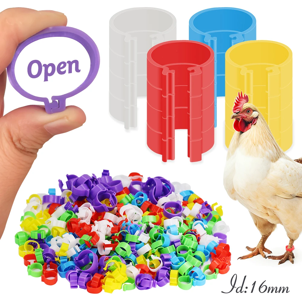 16mm Duck Foot Rings Without Text Colourful Chicken Clip Animal Identification Tool Poultry Wearing Clasp Ring Farm Equipment