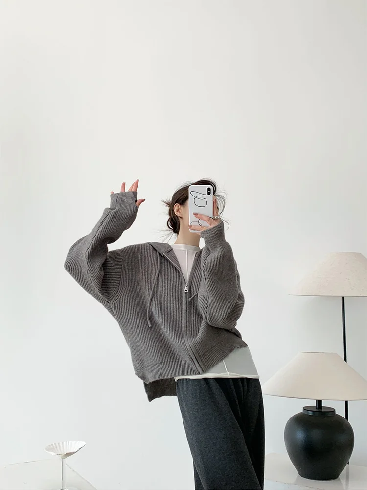 

Женская вязаная кофта WTT: повседневная, свободного кроя, с длинными рукавами, на молнии, для ношения под верхней одеждой, осенне-зимняя, модная, онлайн-продажа