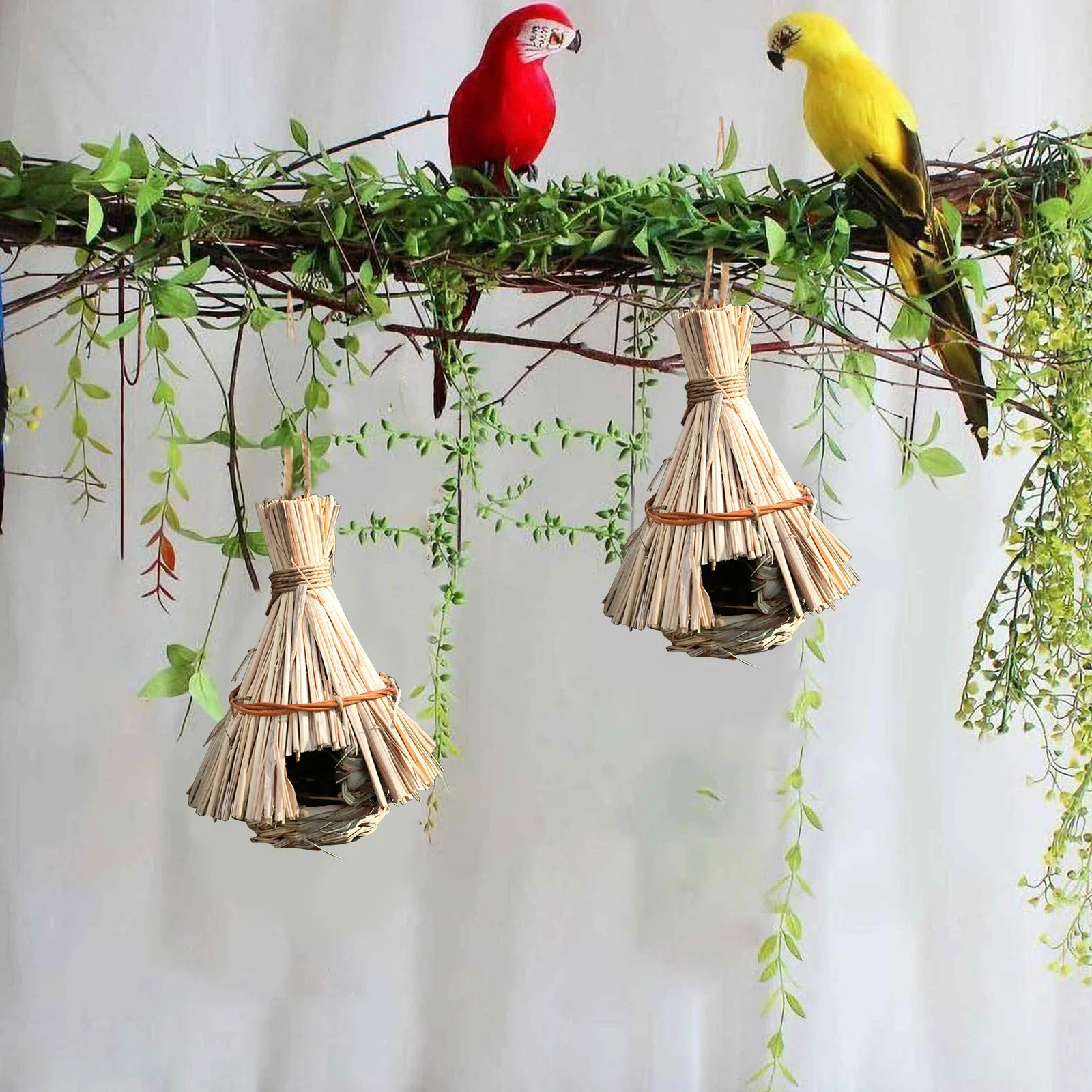 Thumbnail 2 - #74 Compare Birdhouses Before You Buy
