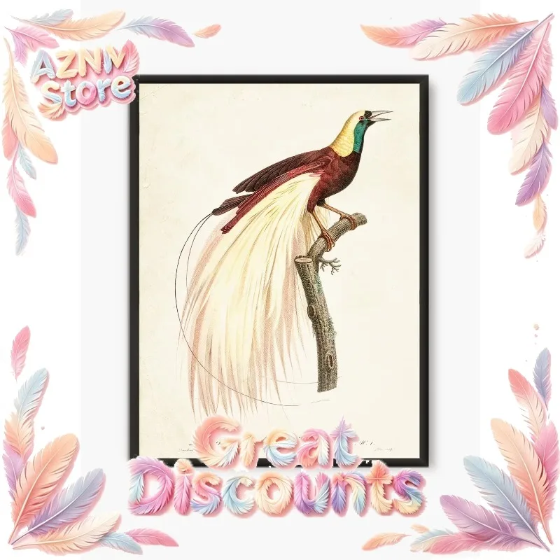 2026 Vintage Wildlife Poster Heron Raven Pink Flamingo Bird Blu Jay Paradise Bird Canvas Print Living Room Retro Wall Art 