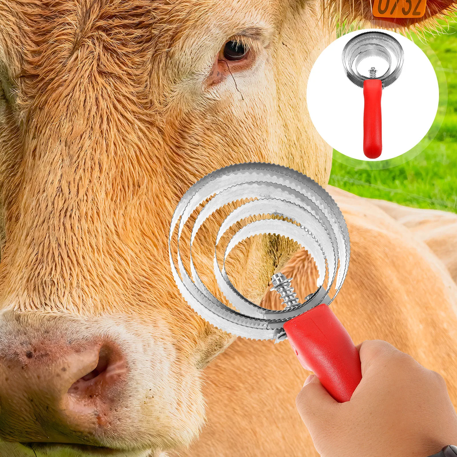 

Horse Grooming Brush Lightweight Portable Anti Skid Handle Stainless Steel Plastic Mud Sweat Dirt Remover
