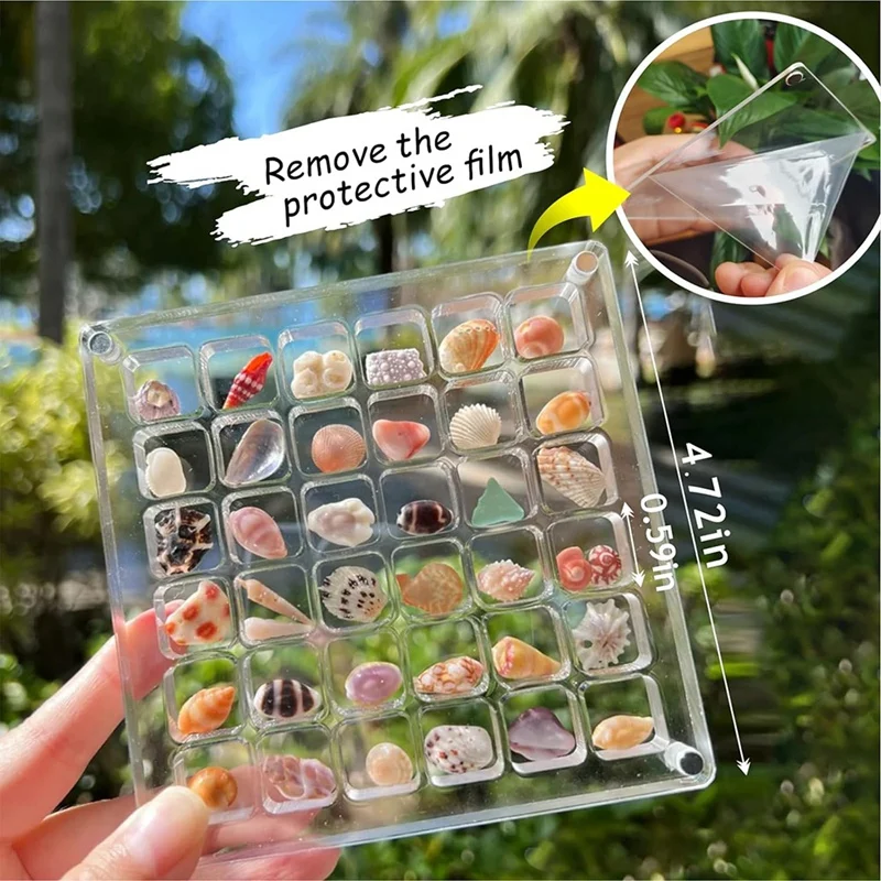 Display Box Magnetic Seashell Display Box Transparent Acrylic Seashell Storage Box Display Box(36 Grids)