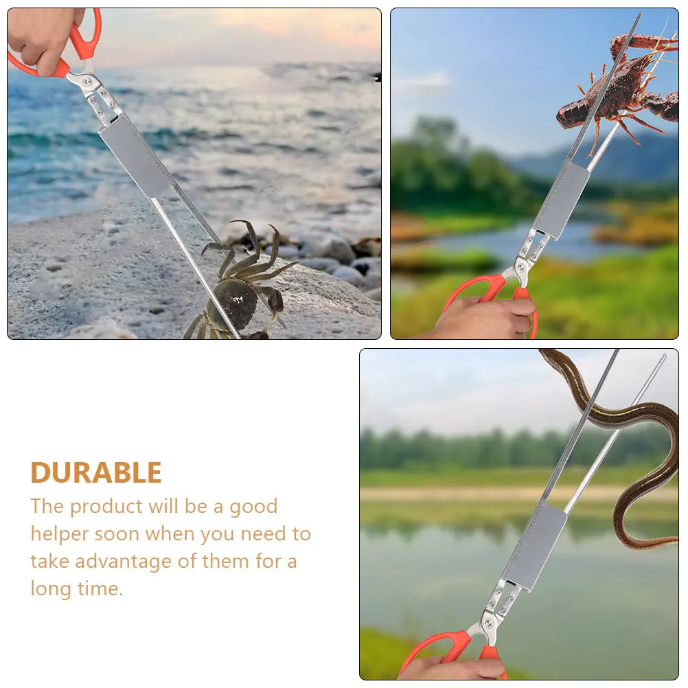 Premium Stainless Steel Eel Tong Crab Non-Slip Clamp Scissor Style Lobster Clip Loach Tool Multi-Function Outdoor Seafood Helper