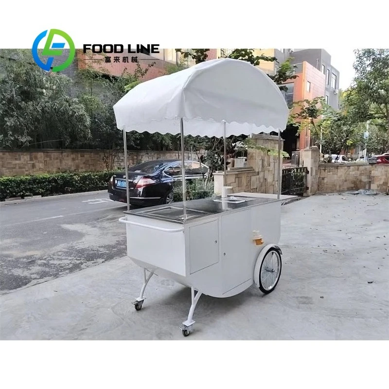 Customized Color Awning Mobile Coffee Ice Cream Hand Push Cart with Refrigerator Sink Food Bike Cart