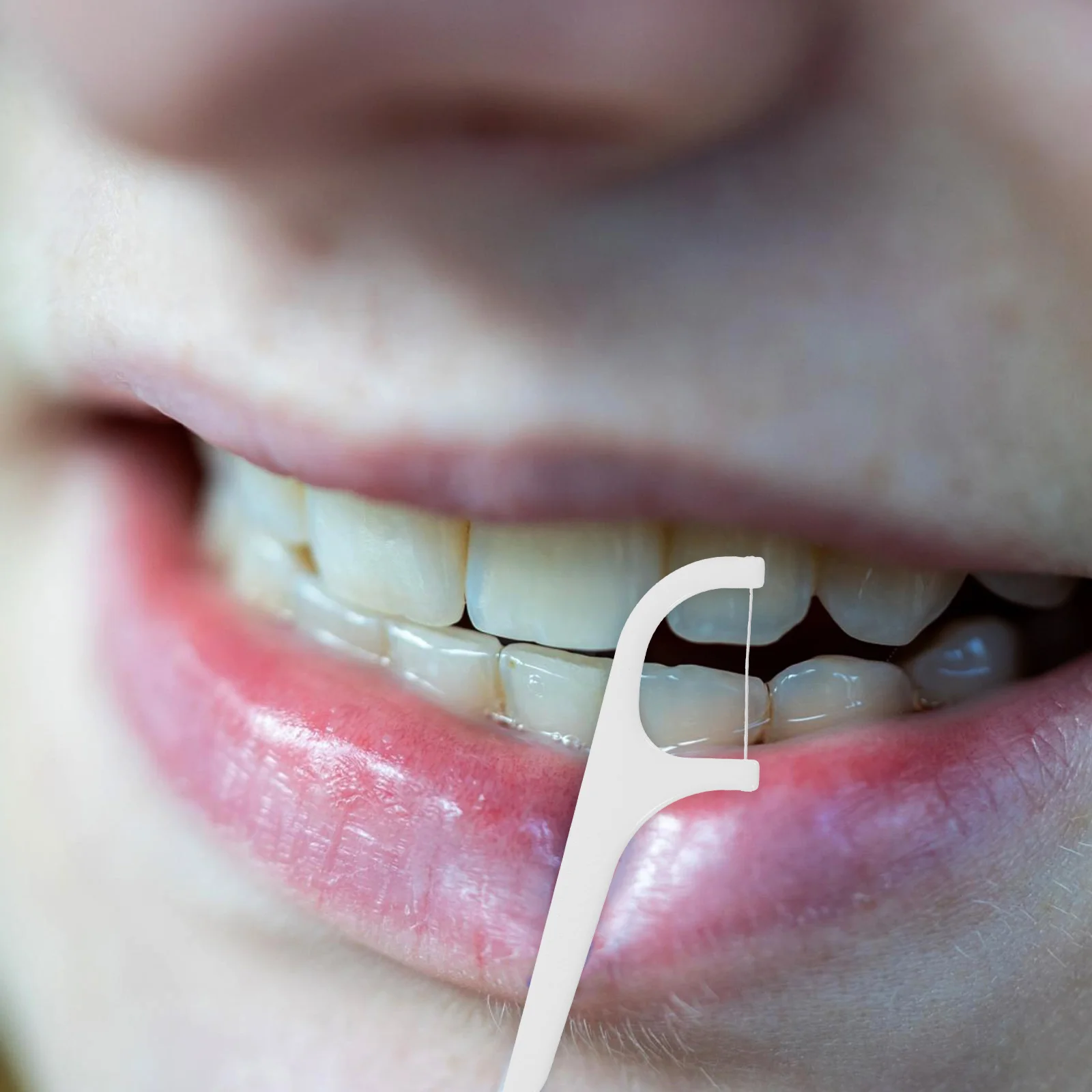 

1 set 1 Set Plastic Picks Compact Dental Floss Stick Portable Teeth Cleaning Tools For Travel Outdoor Use Disposable Floss Picks