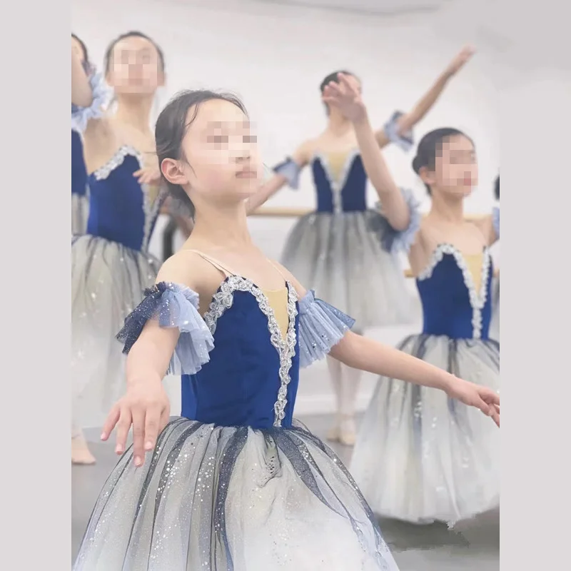 Falda de Ballet para adultos, tutú largo profesional, disfraz de Ballet del Lago de los cisnes blancos, vestidos de bailarina, Ropa de baile de rendimiento