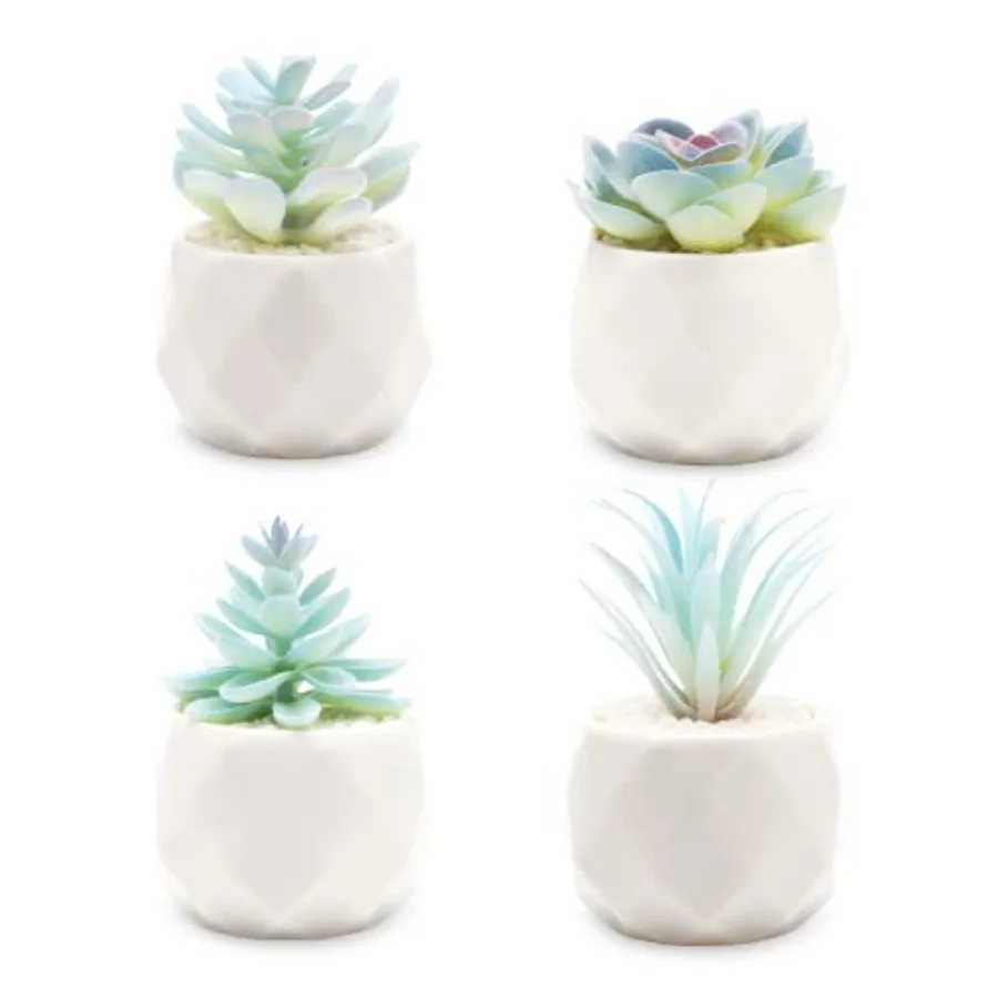 

Mini Blue Artificial Succulent in Pots White Ceramic 4 Pot Set Fake Plants for Indoors Office Dr Blue Christmas for Women Offic