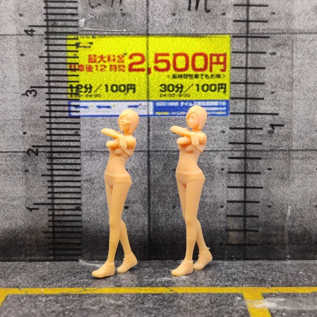1/64 1/43 スケールモデル レジン ストリッパー 未塗装ミニチュアジオラマ 手描き S719