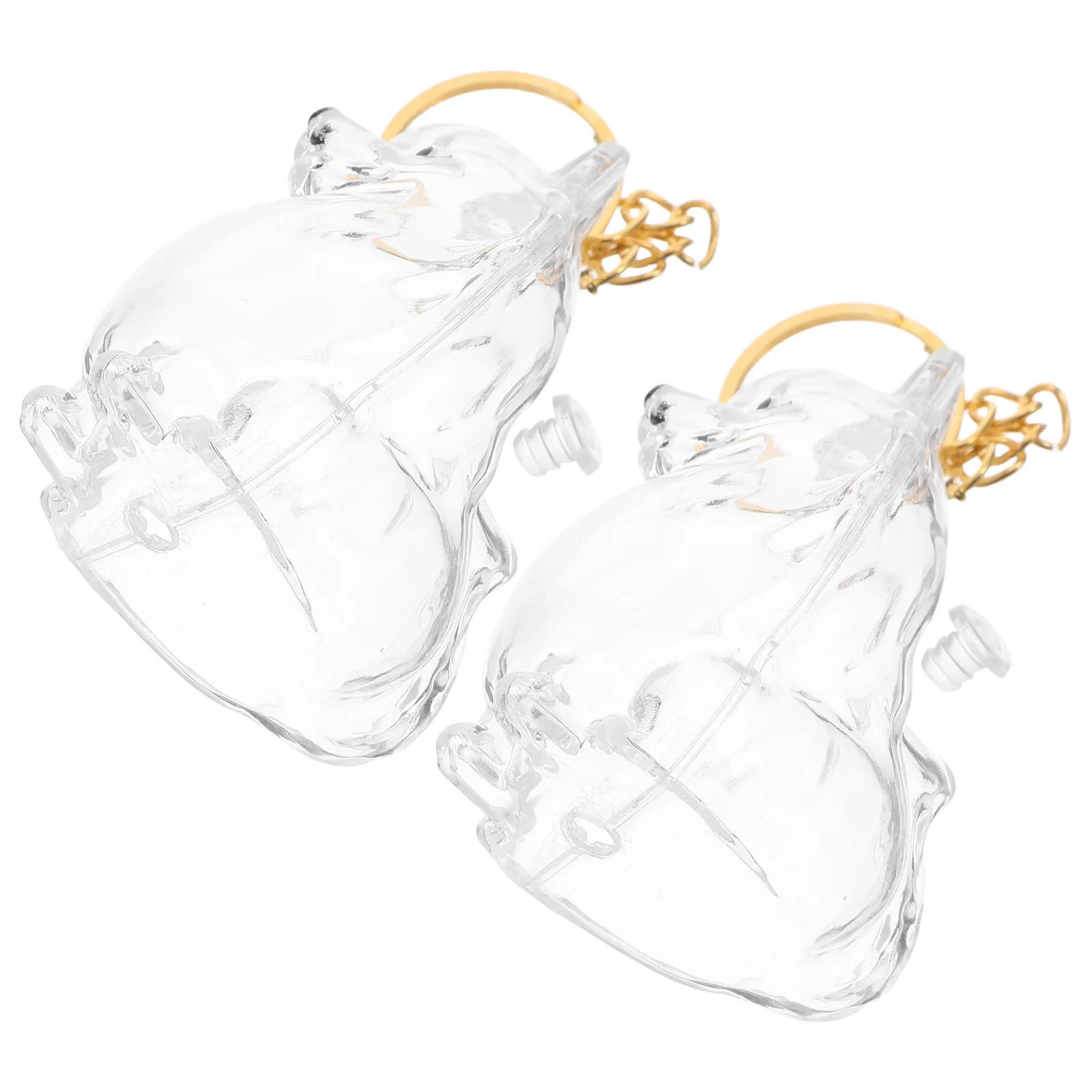 

2Pcs Dog Hair Storage Bottle Puppy Keychain Clear Plastic Pet Hair Keepsake Memorial Collector Portable Pet Dog Keepsake