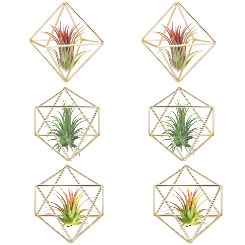 6 Pcs Air Plant Holder Mini Metal Tabletop Decor Modern Geometric Planter Tillandsia Display Stand Himmeli Decor