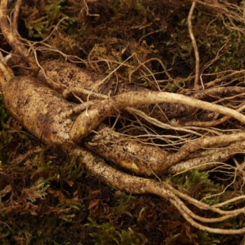 Juego de brazo de suspensión inferior superior trasero delantero de Metal para Tamiya TT01 TT-01 1/10 RC accesorios de piezas de mejora de coche