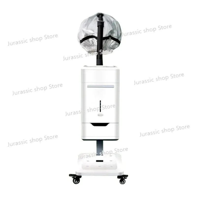 

Professional Hair Steamer Nano Mist Spa Micro Hair Steamer