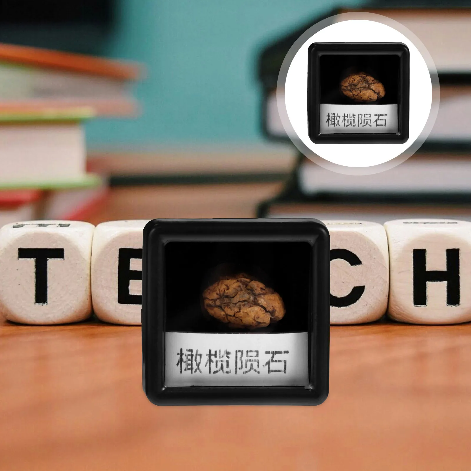 

Irregular Meteorite Stone Unique Specimen Classroom Teaching Sample Educational Scientific Decoration Ornament
