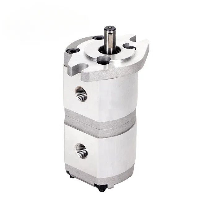 High Quality  Price Is Favorable HGP-11A Double Gear Pump Small Miniature Hydraulic Gear Pump Oil Pump