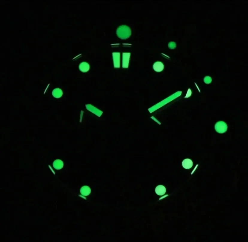 

PAGANI DESIGN 2025 New Men Automatic Mechanical Watch 41mm Sapphire Glass Stainless Steel Waterproof 200m Luminous Reloj Hombre