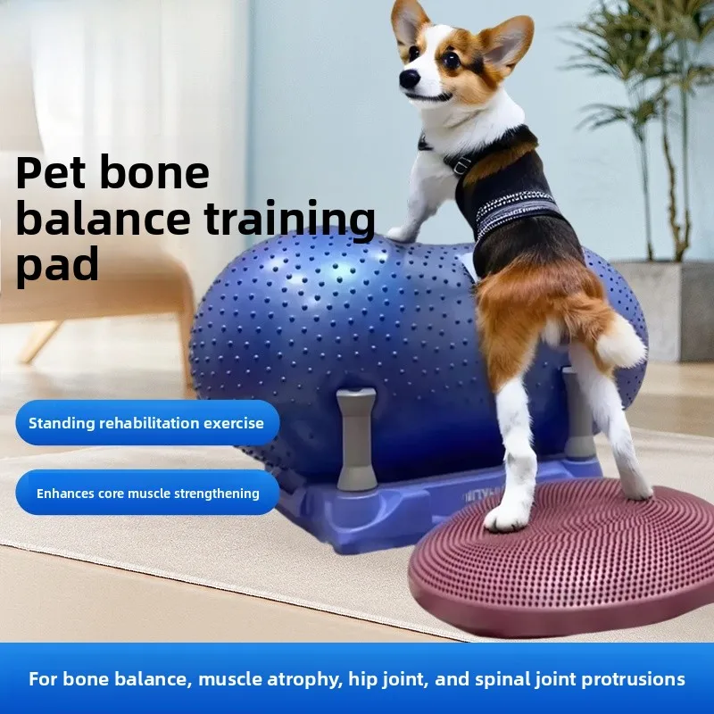 

Dog Rehabilitation Fitness Training Equipment Pet Paralyzed Exercise Peanut Ball Patellar Dislocation Rear Leg Strengthening Pad