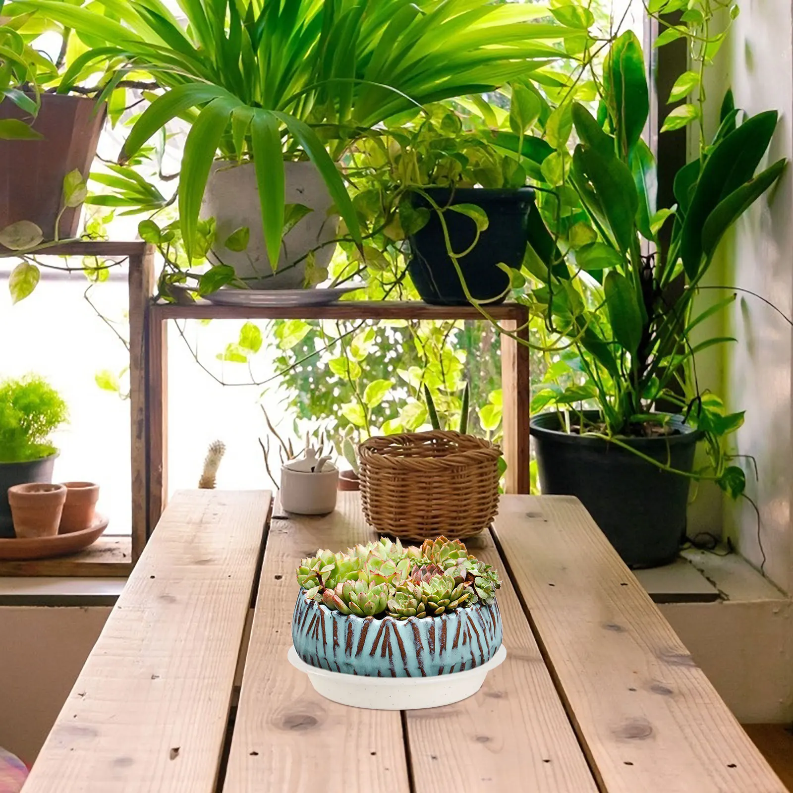 

6Pcs Plastic Flowerpot Trays Thickened Design Heavy Duty Garden Balcony Potted Plant Water Trays for Household Bonsai Plant Pot