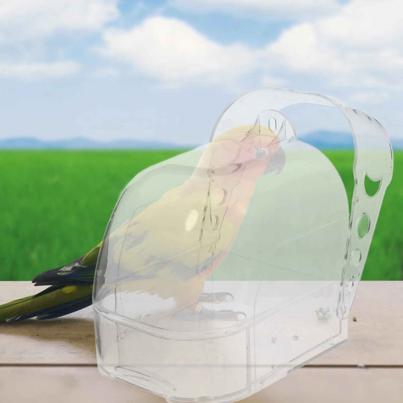 

Bird Bath Basin with Drawer ABS Material Small Birds Bathing Tub Parakeet Supplies Pigeon Feeder Hanging Bath Ferret Toys Parrot