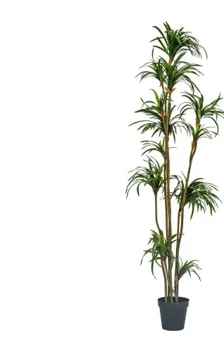 Simulation Dracaena Dracaena Marginata Green Plant Fake Trees Indoor Living Room Floor Bonsai Landscaping Decoration Bonsai