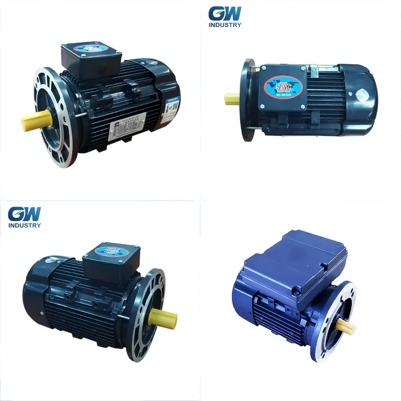 for GW Single Phase 220V 1kW 3HP AC Motor