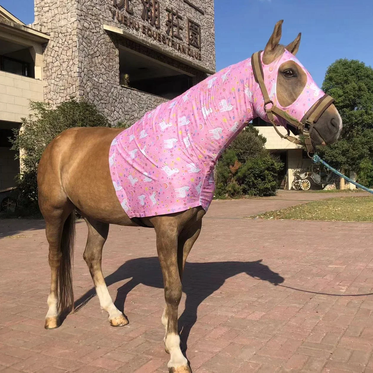 Alfombras de caballo de alta calidad, tela lavable con capucha de Lycra elástica con excelentes características