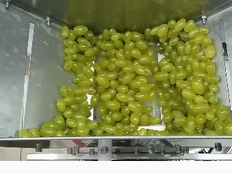 Commercial Grape Stem Separator & Crushing Machine, High Output Grape Destemming Winery Equipment