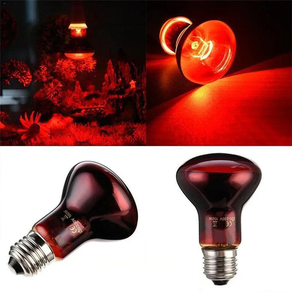 Lámpara de calor roja anfibia UVA de 220V, 25W, 50W, 40W, 75W, 100W, bombilla de vidrio infrarroja, accesorios para reptiles, serpientes y lagartos