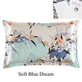 soft blue dream