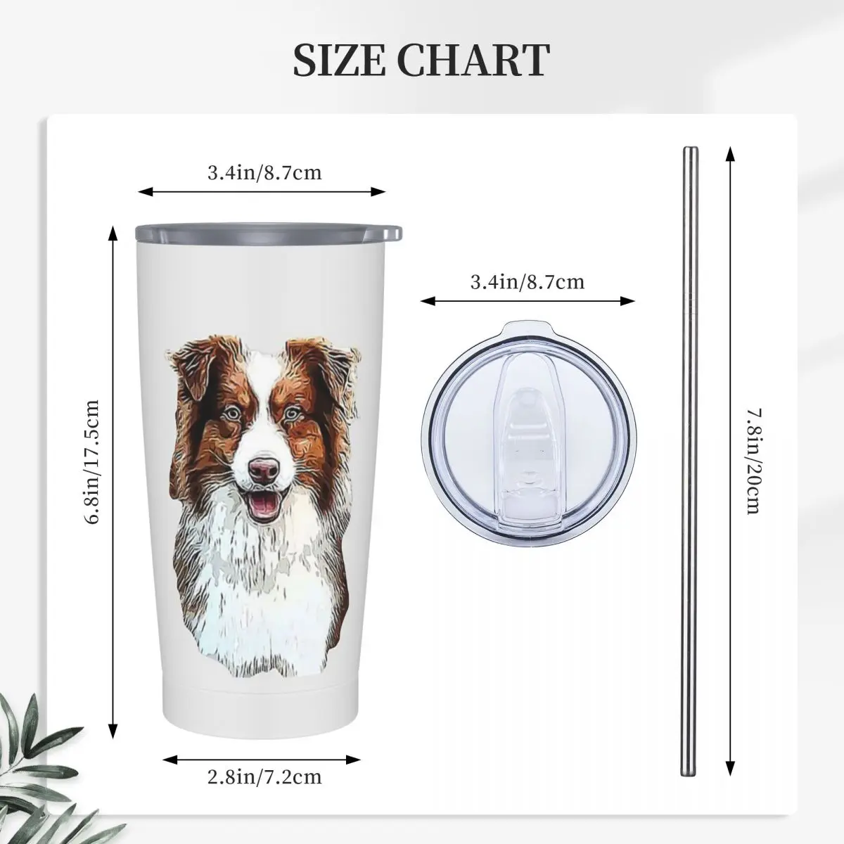 Australian Shepherd Red Tricolor Lovers Stainless Steel Tumbler Vacuum Insulated Mugs Thermal Cold Cups Straw With Lid 20oz