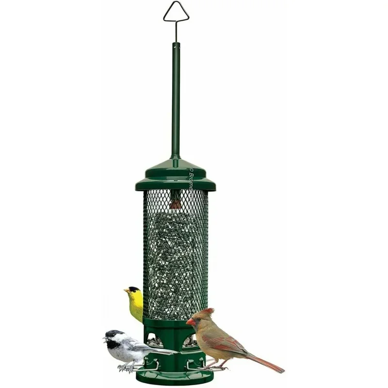 Squirrel Buster Legacy Squirrel-proof Bird Feeder w/4 Metal Perches, 2.6-pound Seed Capacity