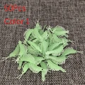 1000Pcs Color 1