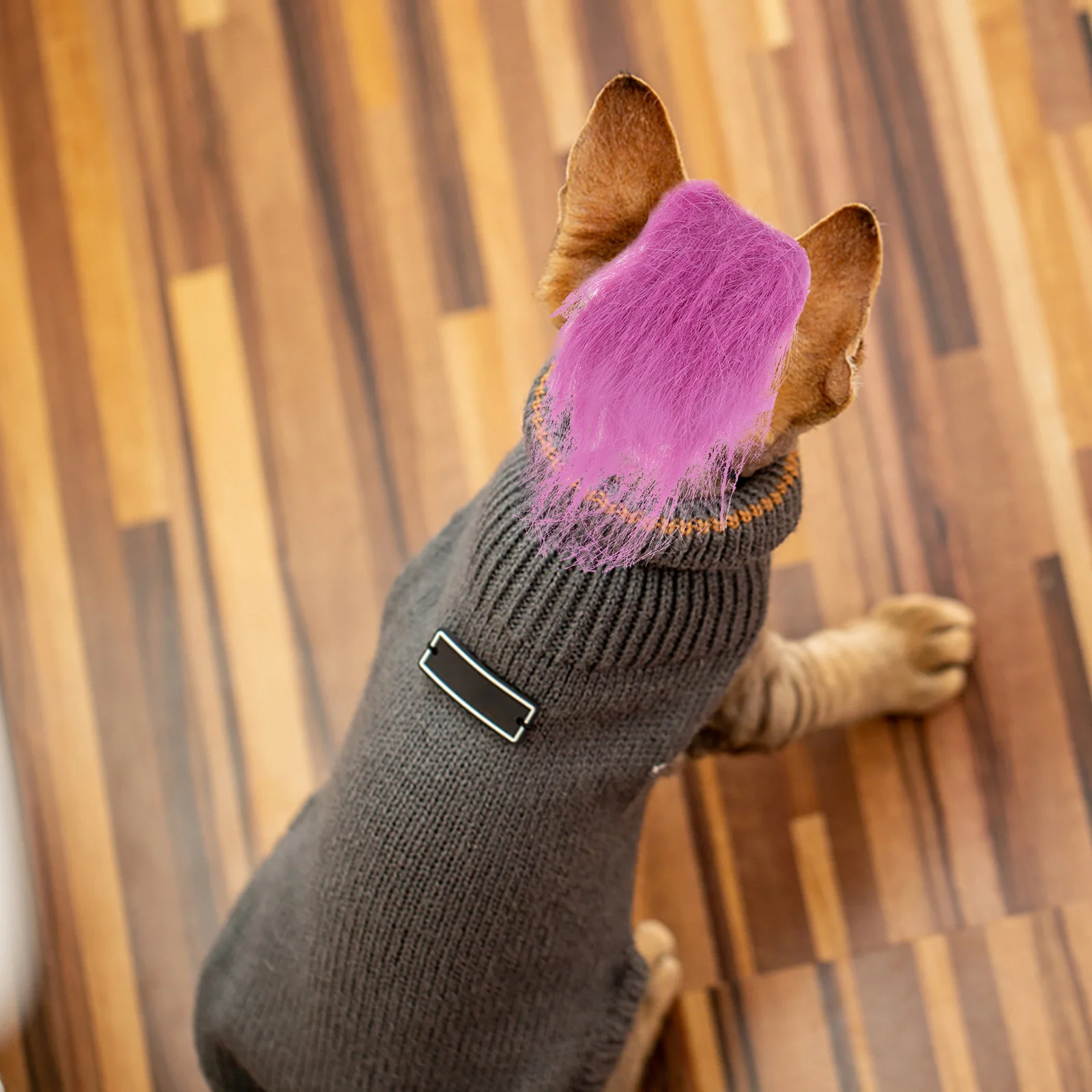 

Cost-Effective Pet Adjustable Strap Safe Comfortable Dog Cat Headwear for Party Festival Pet Accessories Dog Cat