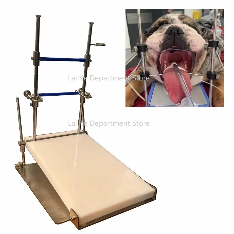 Vete-mesa urinaria instrumento de apertura auxiliar de precisión roedores veterinario clínica hospitalar abridor de roedores