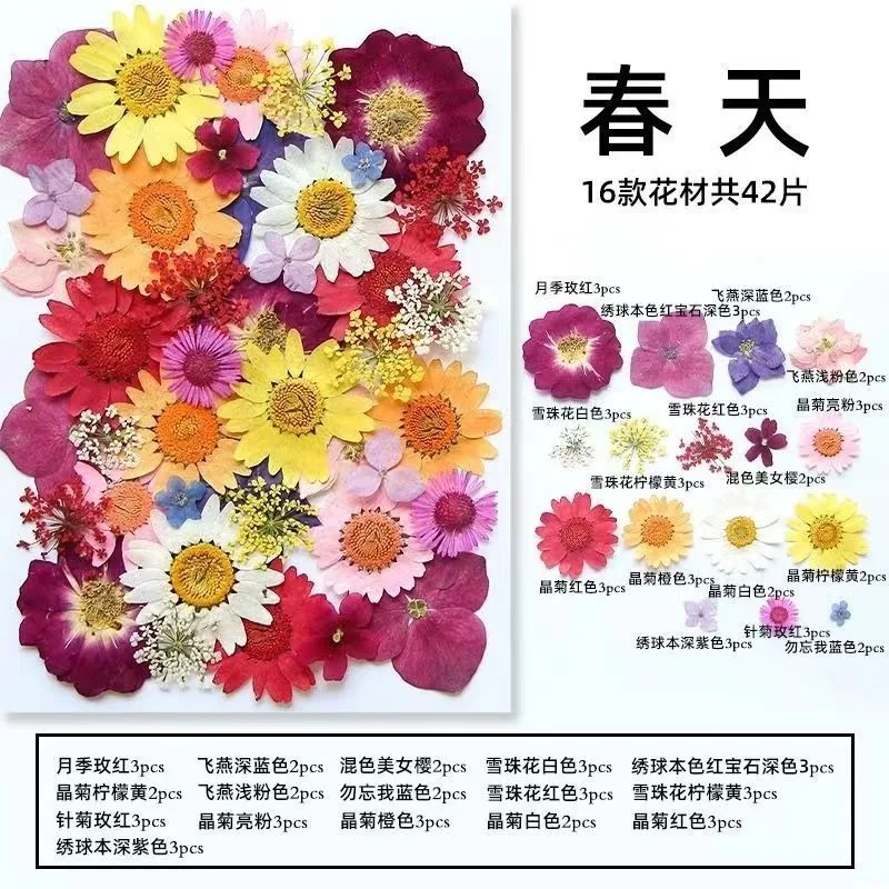 250pcs Assorted Pressed Dried Flowers&Leaf Plant Herbarium For Jewelry Bookmark Phone Case Scrapbook Candle DIY Art&Craft Making