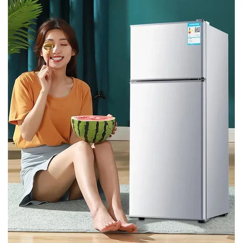 for 68L Full Capacity 38L-169small Clean Flavor Refrigeration Refrigeration Double Door Refrigerator