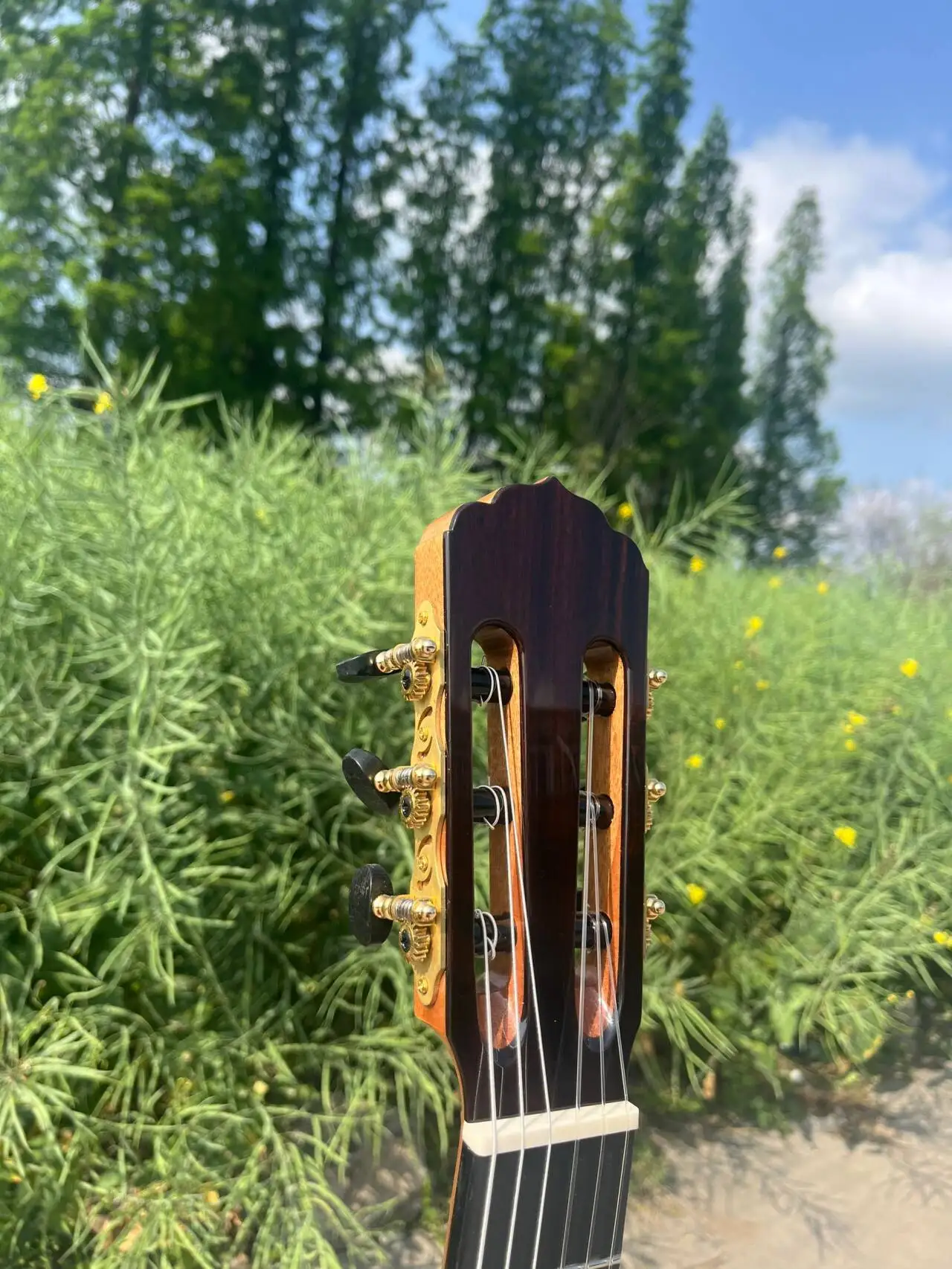 Aiersi-glanzende verhoogde toets, cederblad, klassieke gitaar