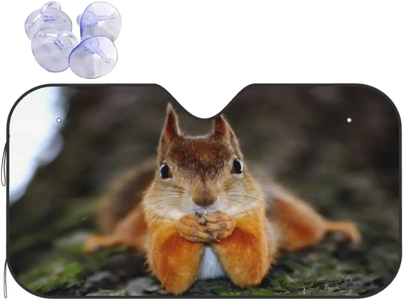

Cute Squirrel Car SunshadeWindshield Sun ShadeFoldable Car Front Window Sunshade for Most Sedans SUV TruckBlocks Max