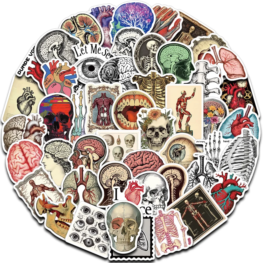 50 SZTUK Retro Anatomia Naukowa Ludzki Organ Naklejka Oko Serce Mózg Wątróbka Trunk Kończyny Kolekcja Artystyczna Dekoracja Etui na Telefon Kubek