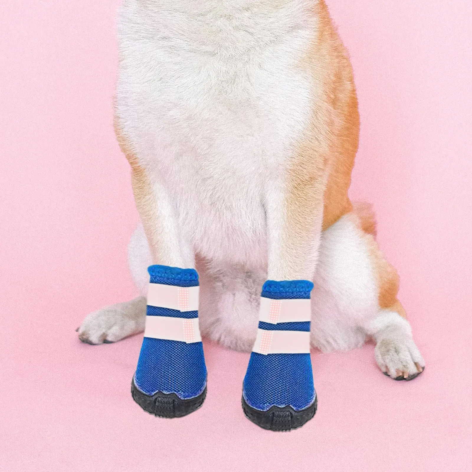 10Pcs Pet Bootie Holders Non S - Dog Booties Paw Protector review and price