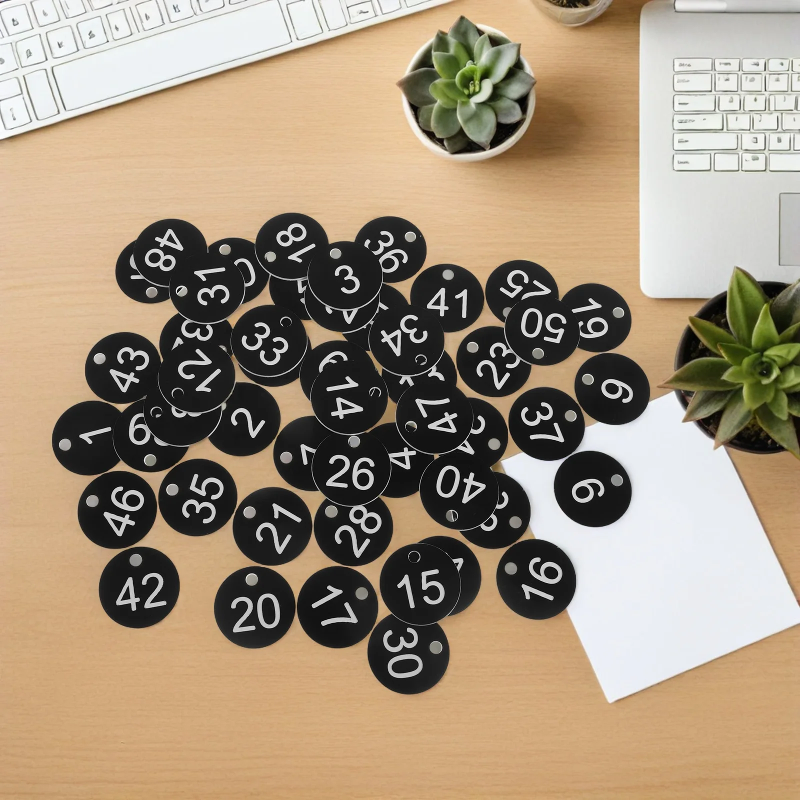 50 قطعة العلامات الرئيسية للتخزين 1-50 أقراص بلاستيكية مرقمة كبيرة لخزائن الحقائب الصالة الرياضية بركة قابلة لإعادة الاستخدام دائم معلقة علامات الهوية مجلد #2
