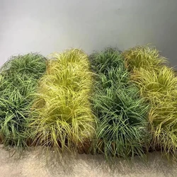 Artificial Onion Grass Green Plant Simulated Fake Plant Indoor Outdoor Grass Minimalist Hotel Decoration Wedding Scene Layout