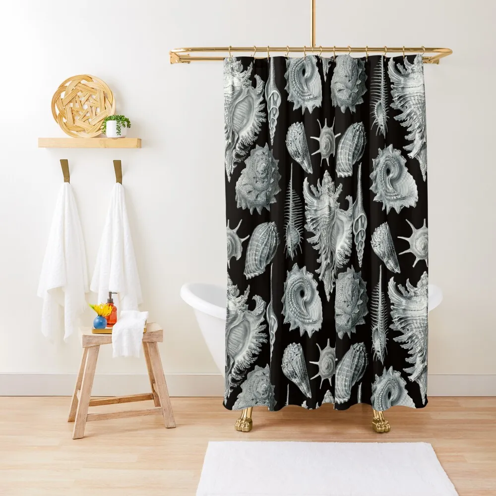 

Ernst Haeckel - Prosobranchia Shower Curtain Anime Bathroom Waterproof Shower Curtain