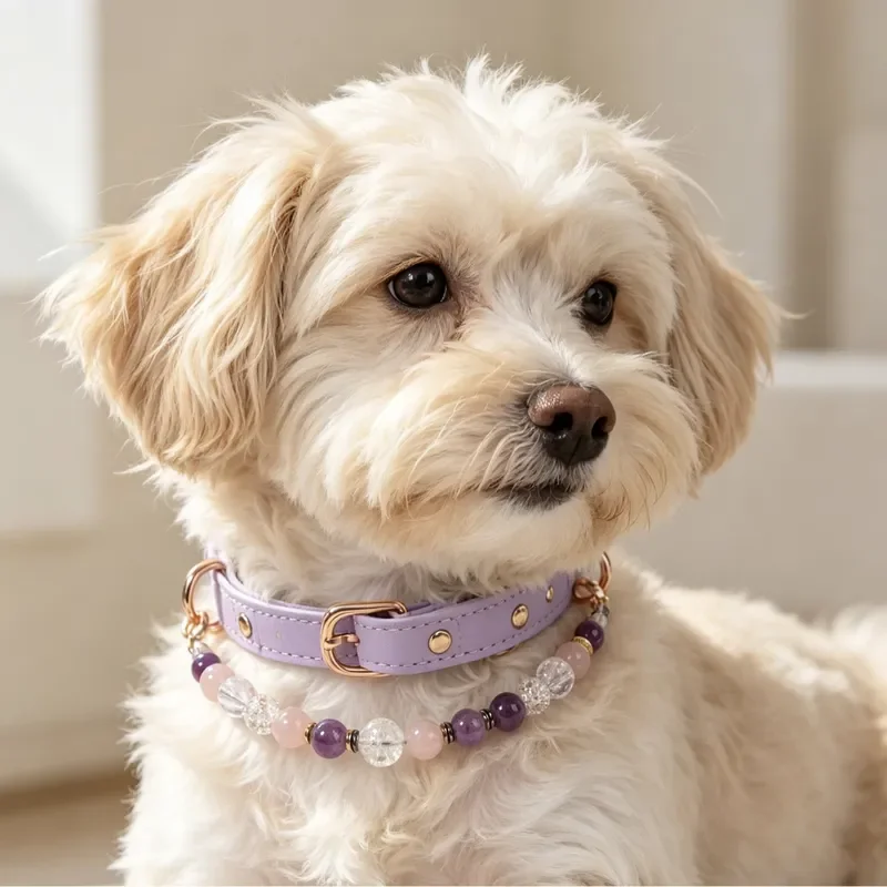 Cross-border hot-selling pet natural amethyst beaded dog cat collar luxury necklace factory spot straight hair