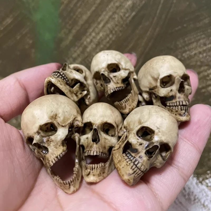 1/6 Scale Retro Human Skull Skeleton PVC Model Pendant Decorations 12in Action Figure Toys Accessory Aquariums Decoration New