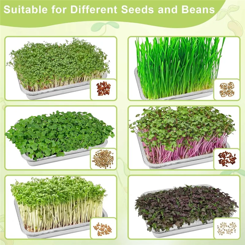 

AB33-Sprouts Растущий лоток для проращивания семян Набор для выращивания проращивания микрозелени Лотки для судьбы
