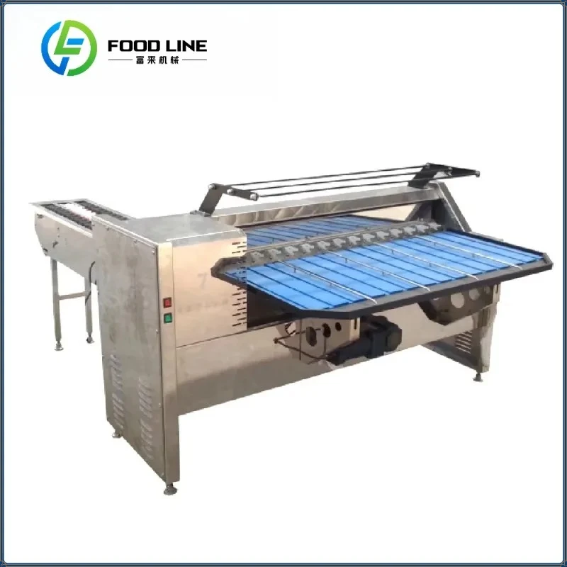 High Quality Industrial Automatic Duck Egg Size Sorting Grader Mini Egg Grading Sorter Machine for Chicken Farm FL Customized