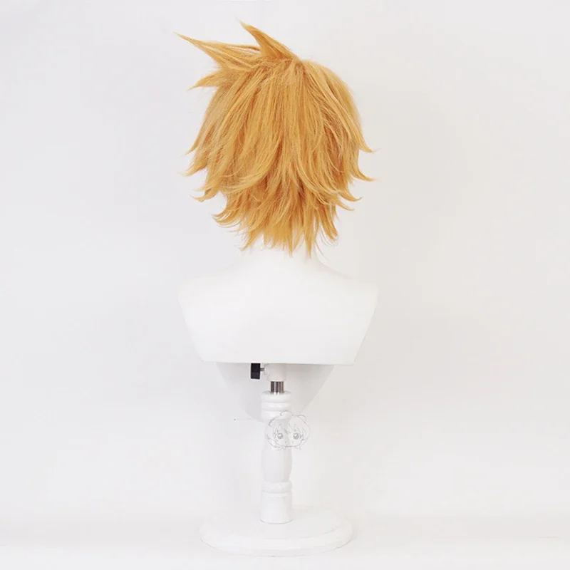 أنيمي كاميناري دنكي شعر مستعار تأثيري أغطية الرأس بلدي بطل تأثيري الشعر الاصطناعية قصيرة هالوين شعر مستعار غطاء شعر مستعار للحزب عطلة @ 0Z *