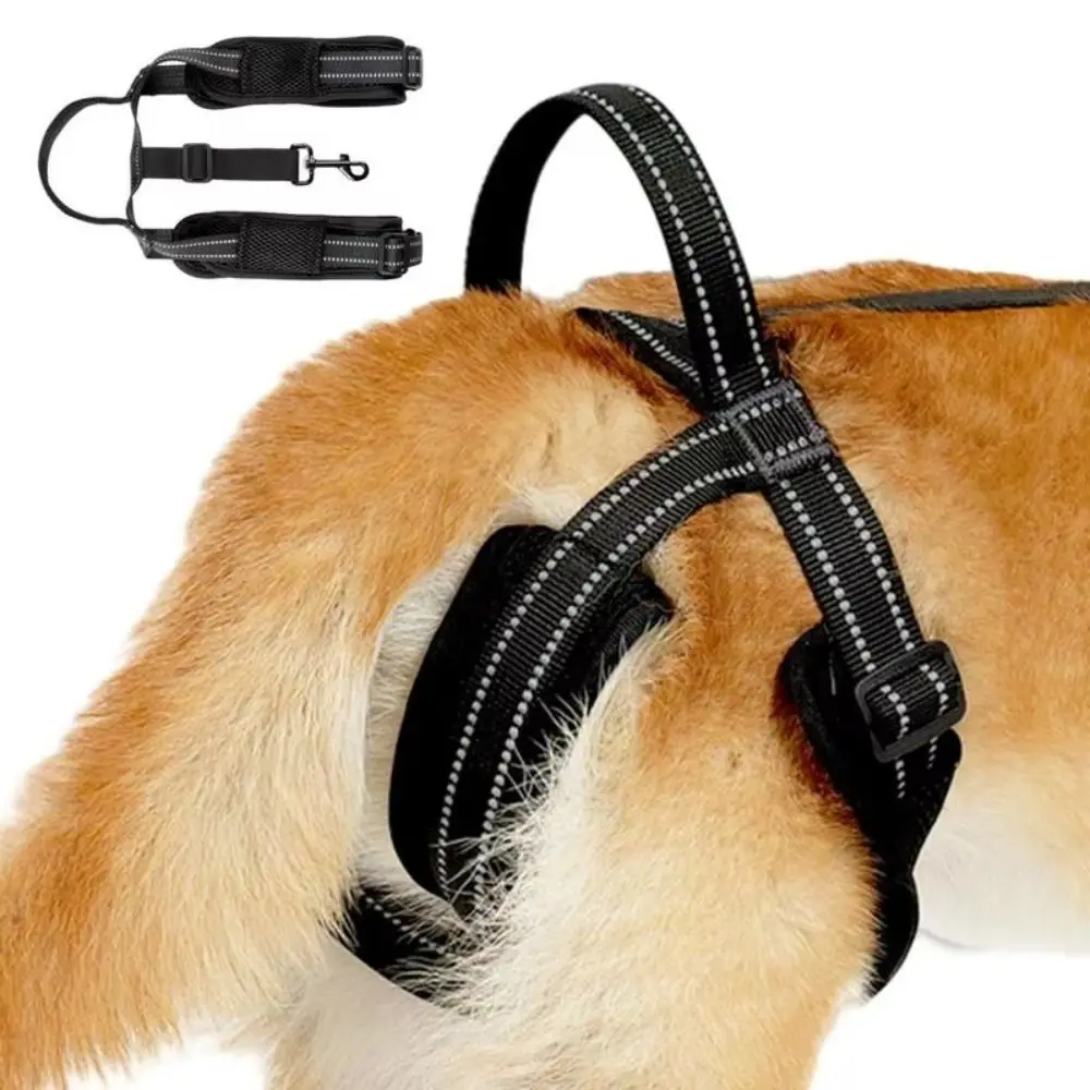 Adjustable Dog Sling For Back Legs Reflective Strips Auxiliary Belt Dog Lift Harness Back Leg Hold Sturdy Handle