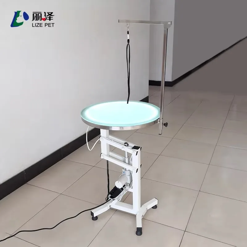 2026 Luxury Grooming Table for Small Animals Air Lift & LED Light Eco-Friendly Feature for Pet Care and Supplies